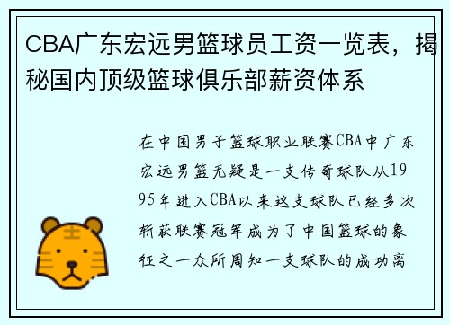 CBA广东宏远男篮球员工资一览表，揭秘国内顶级篮球俱乐部薪资体系