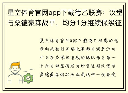 星空体育官网app下载德乙联赛：汉堡与桑德豪森战平，均分1分继续保级征程